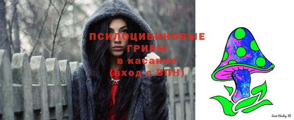 а пвп мука Абаза