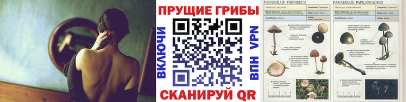 Псилоцибиновые грибы MAGIC MUSHROOMS Рославль